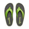 GUMBIES DUCKBILL UNISEX flip-flops Gumbies - 1 buty zapaśnicze ubrania kostiumy